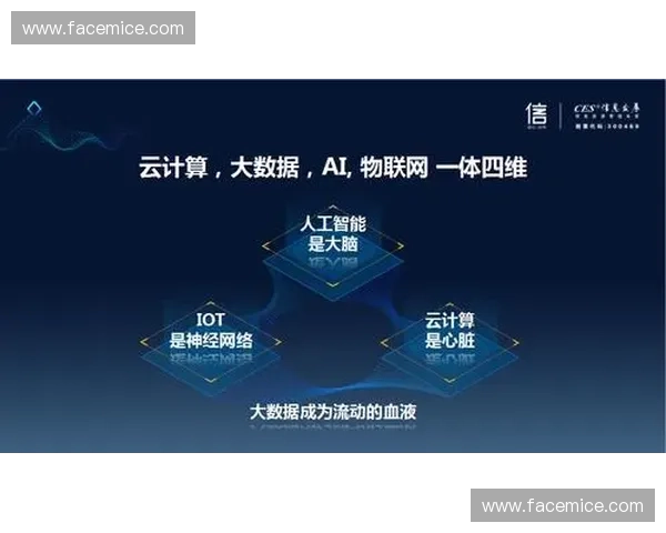 人工智能与大数据结合深度解析世界杯冠军走势预测全景观察报告